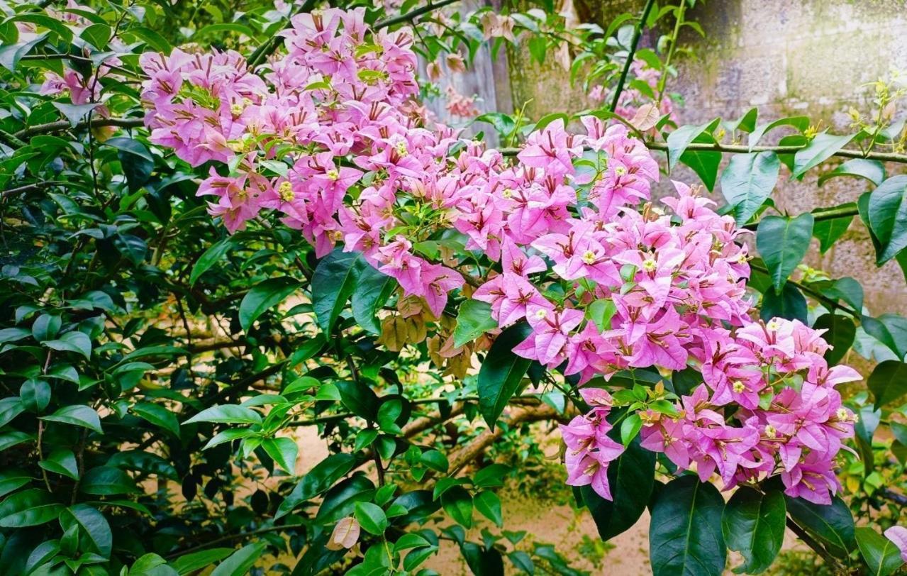 Marari Charlys Homestay Alappuzha Luaran gambar